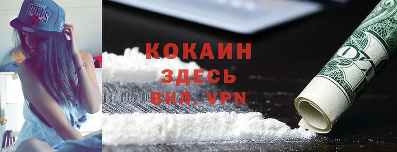 COCAIN Fish Scale  Новомичуринск 